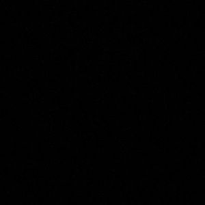 Meet your Posher, Vito